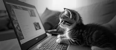 Gestión de Redes Sociales